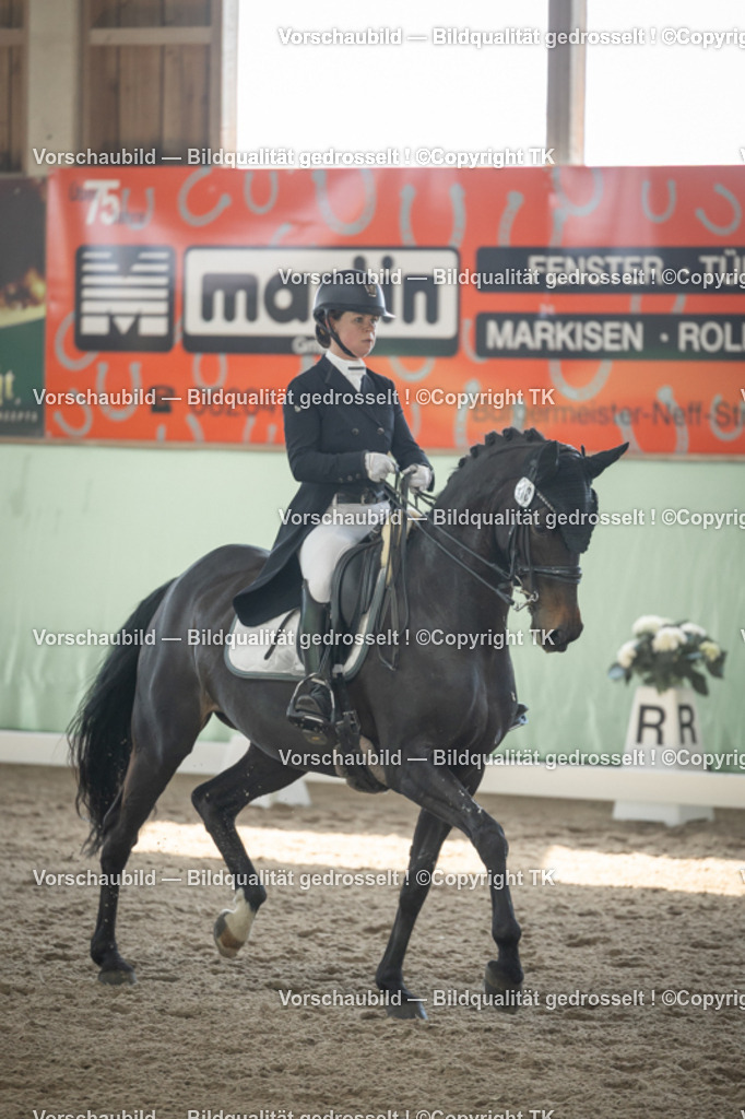 _D5A1041 | Emotionale Pferde- & People-Fotografie rund um Heidelberg, Leimen & Umgebung. Natürliche Fotos von Pferd, Mensch & Familie. Jetzt Termin sichern!