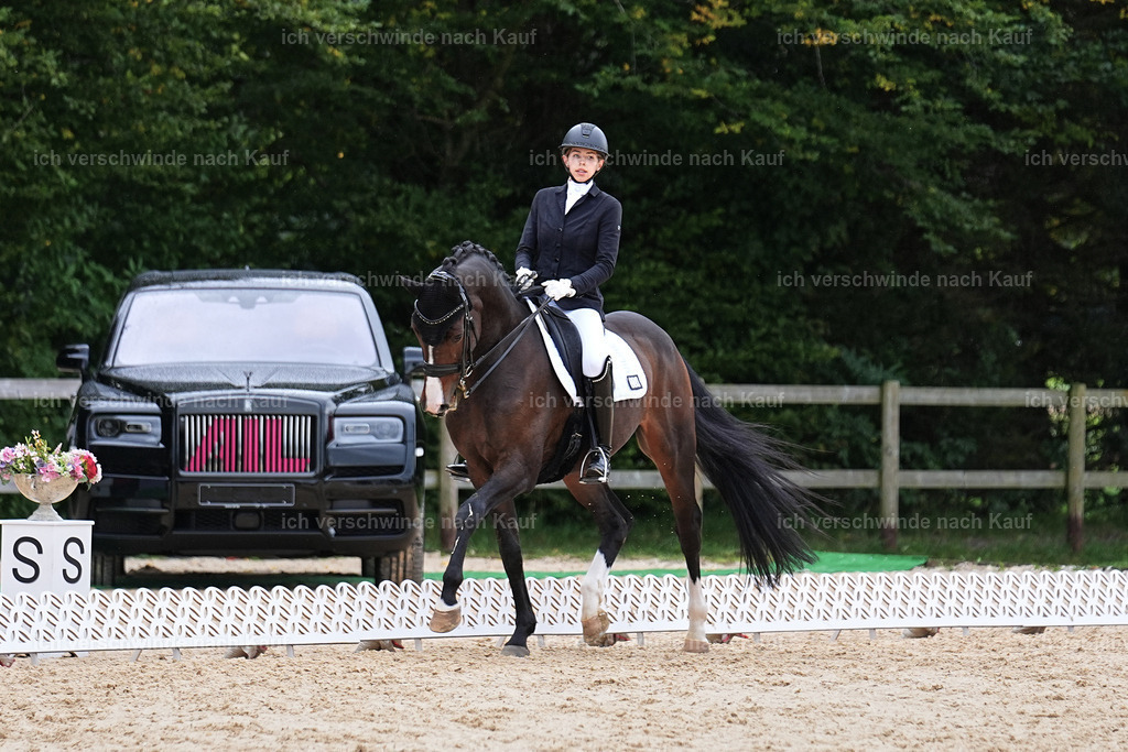 3-224-Dressur M_-Marixx-2023 | working equitationturnier fotograf videograf stoibphotography marixx film working equitation deutschland reitsport turnierfotografie eventfotografie equestrian events
