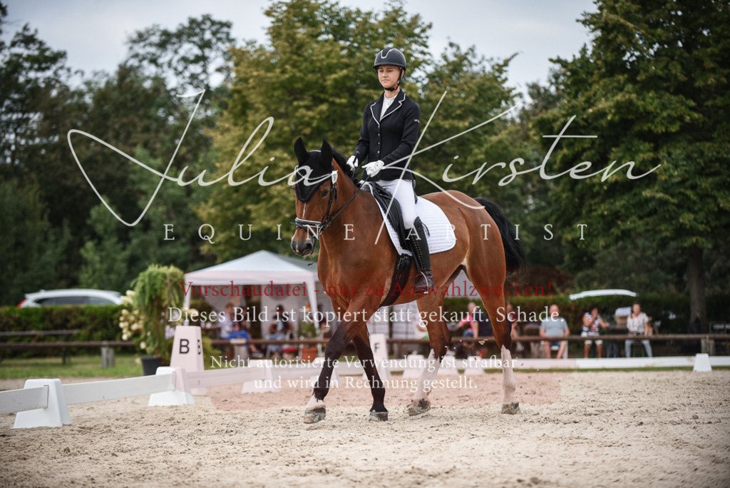 DSC_8259 | Pferde- und Turnierfotografie in Westsachsen. Pferdeportraits, Auftragszeichnungen und intuitive Kunst.