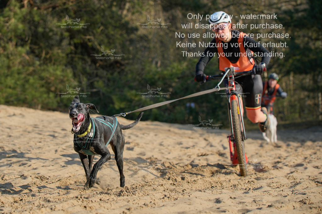 So_Scooter-151 | stephaniefillaphotographie - Realisiert mit Pictrs.com