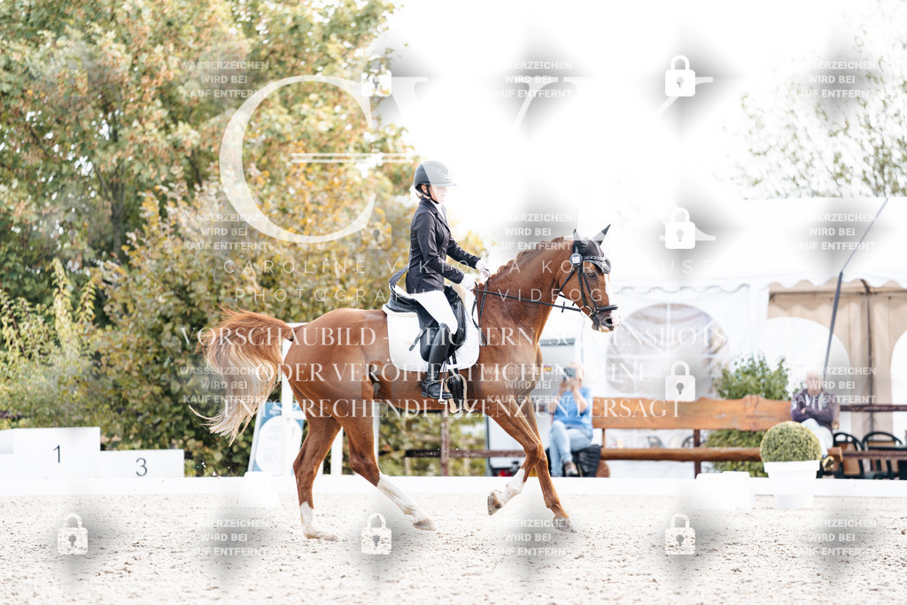 CK901334 | Turnierfotografie Pferdefotografie Trier Rheinland-Pfalz Pferdesport Reitsport Tierfotografie Sportfotografie Pferdevideo Pferdevideografie Equestrianvideography equestrianphotography  - Realisiert mit Pictrs.com