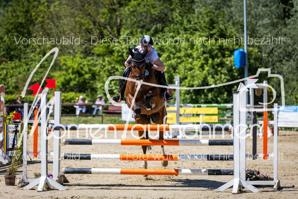 Donop24-L-Spr-031 | MomenTaufnahmen Pferdesportfotos