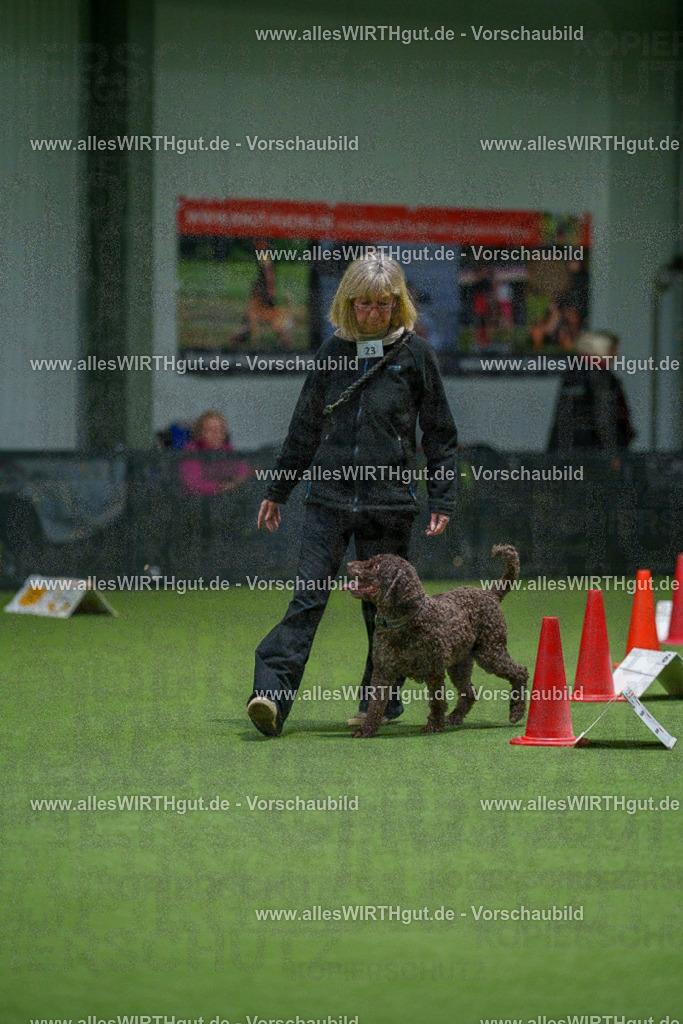 7R504925 | Professionelle Tierfotografie in Mönchengladbach von Daniel Wirth (allesWIRTHgut). Liebevolle & natürliche Bilder von Hunden & Katzen für unvergessliche Erinnerungen.