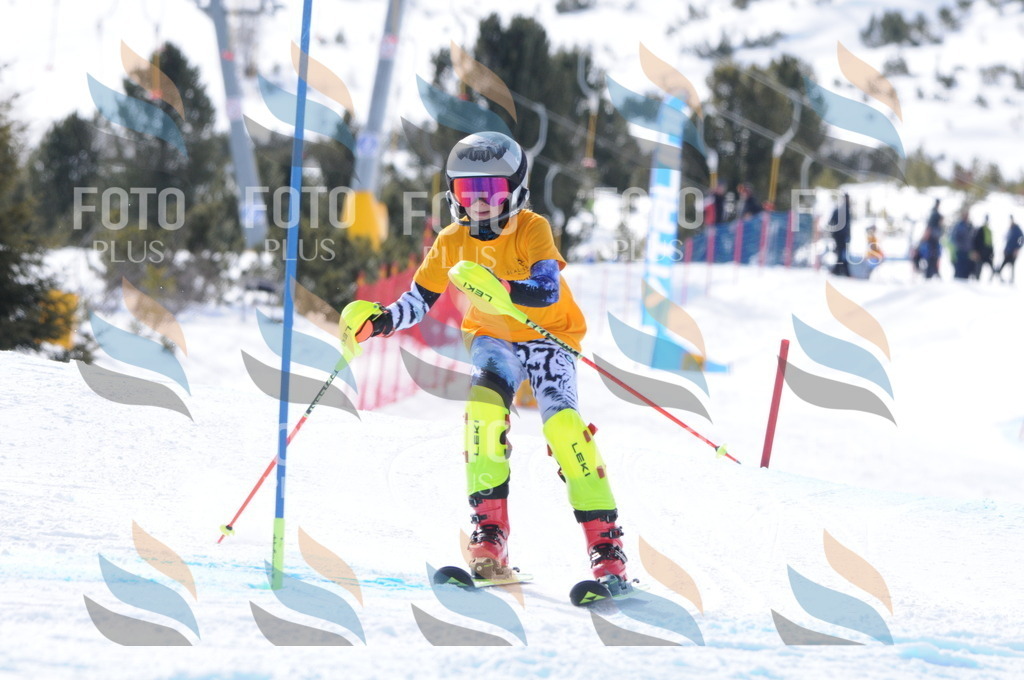 C8801 | holidayphoto