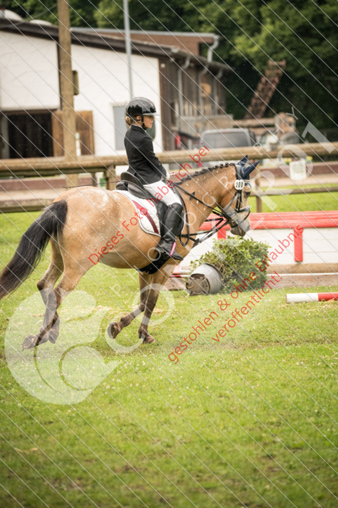 DSC_4810 | Sport-, Event- und Tierfotos in Profiqualität. Einfach auswählen, bestellen und herunterladen. Dein Moment – perfekt festgehalten.