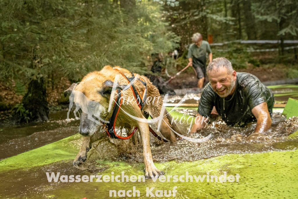1409_ZZ91218-Bearbeitet | kk-dogfotos