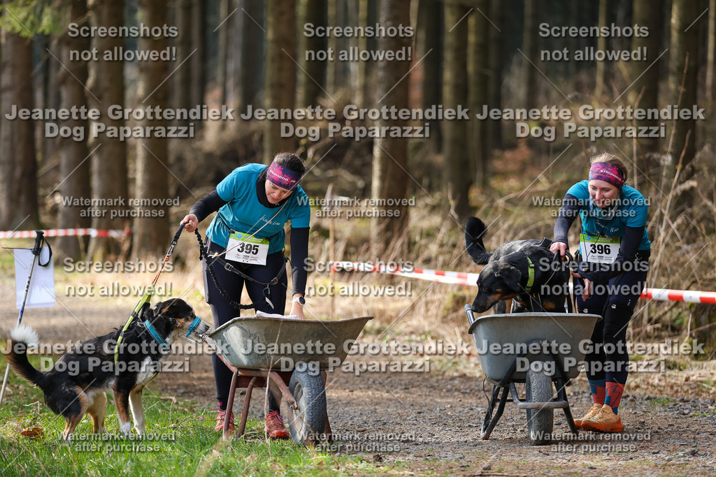 Dog Paparazzi - VCC26-620 | Dog Paparazzi Jeanette Grottendiek Fotografie & Videografie - Realisiert mit Pictrs.com