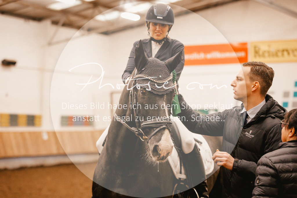 3I6A2138 | Stimmungsvolle Portraits und Reitsportfotografie im Ruhrgebiet und im Münsterland.

Pferdefotografie, Hundefotografie, Tierfotografie, Reportagen, Portraits von Tier und Mensch, Turnierfotografie in Bochum, Recklinghausen, Marl, Haltern am See, Dülmen.. - Realisiert mit Pictrs.com