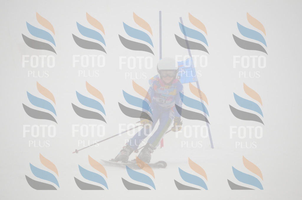 C1283 | holidayphoto