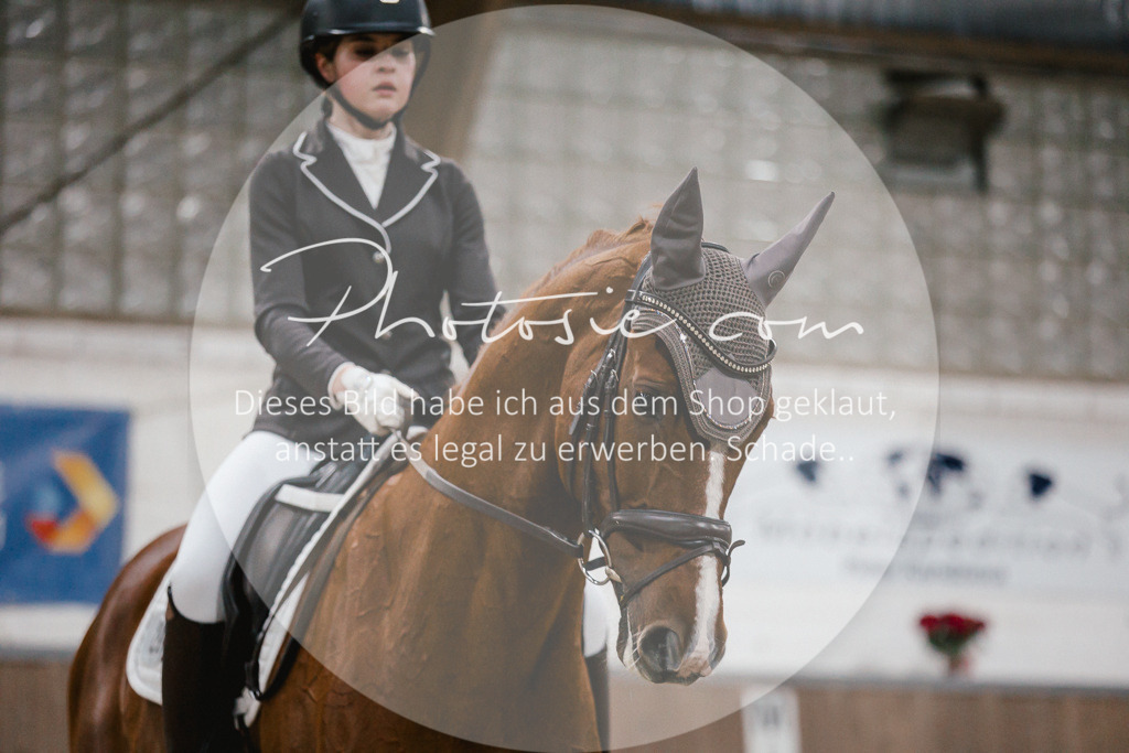 3I6A5927 | Stimmungsvolle Portraits und Reitsportfotografie im Ruhrgebiet und im Münsterland.

Pferdefotografie, Hundefotografie, Tierfotografie, Reportagen, Portraits von Tier und Mensch, Turnierfotografie in Bochum, Recklinghausen, Marl, Haltern am See, Dülmen.. - Realisiert mit Pictrs.com