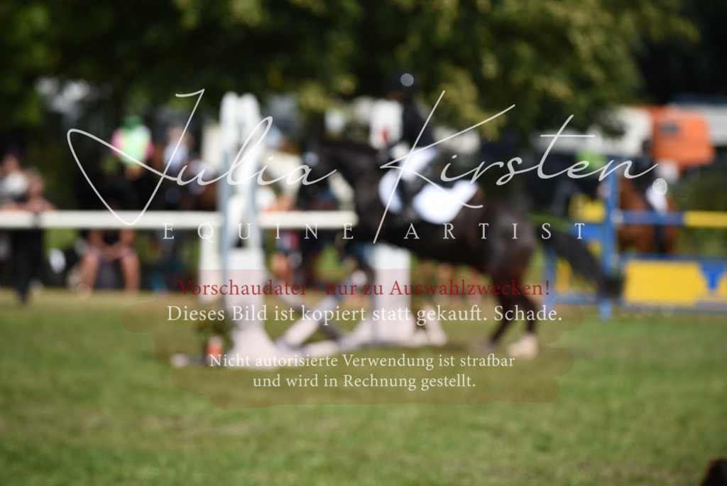 DSC_9976 | Pferde- und Turnierfotografie in Westsachsen. Pferdeportraits, Auftragszeichnungen und intuitive Kunst.