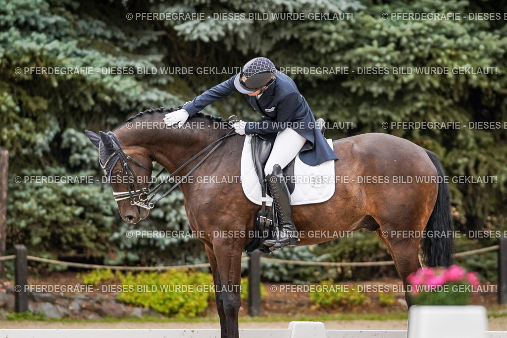 DSC07349 | Pferdegrafie