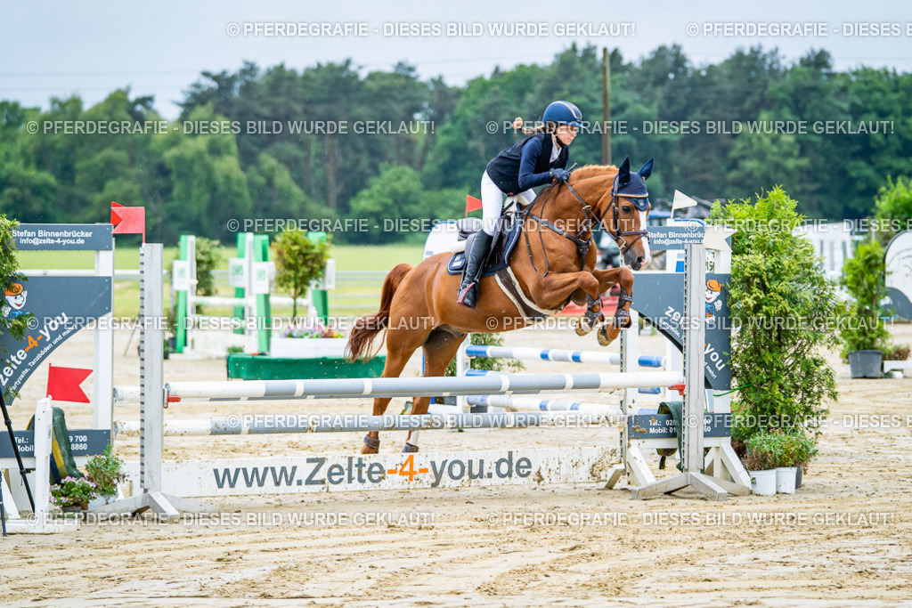 DSC01205 | Pferdegrafie