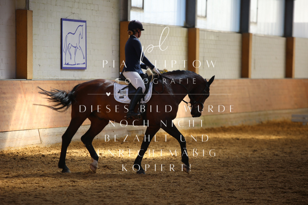 IMGT7168 | pl-fotografie