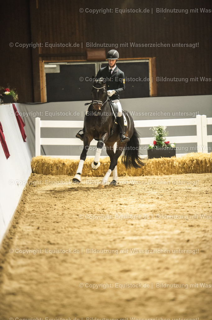 20240302_Hengstvorstellung_Marbach_TOMsPiC_0404 | equistock