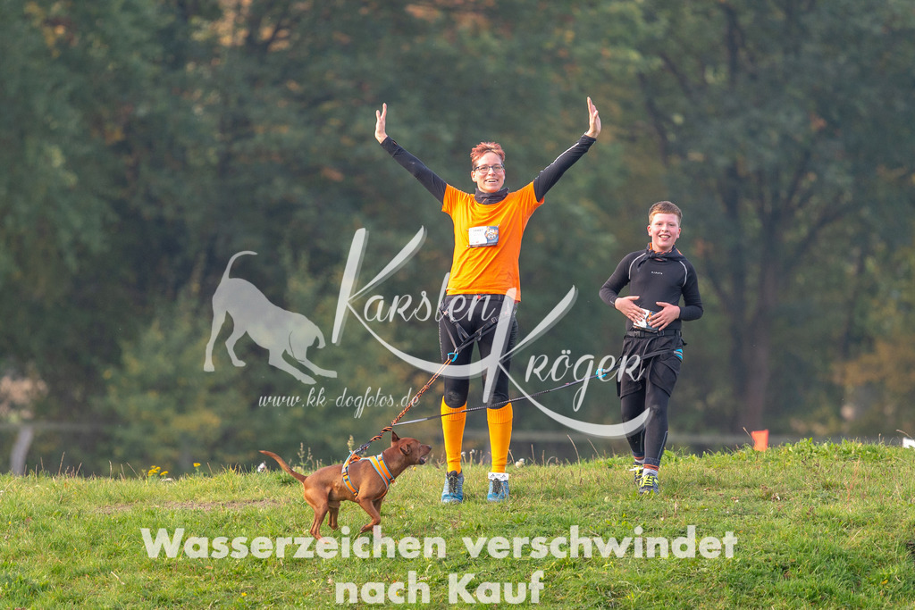 0947STR_2033 | kk-dogfotos