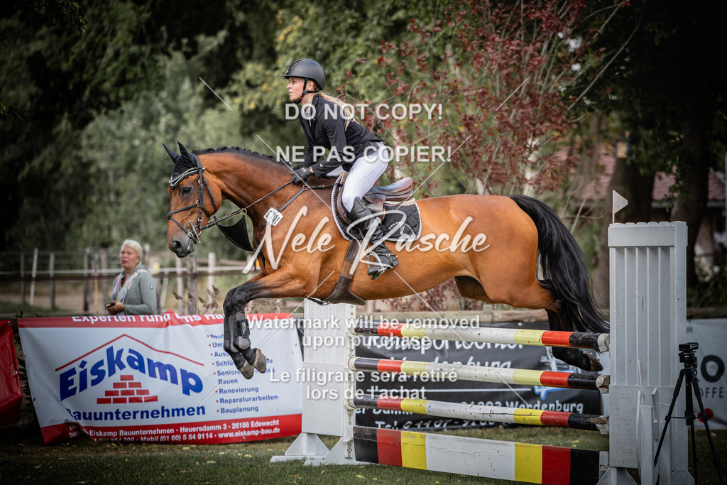 nelerasche_SprL__110Ede_17 | nelerasche