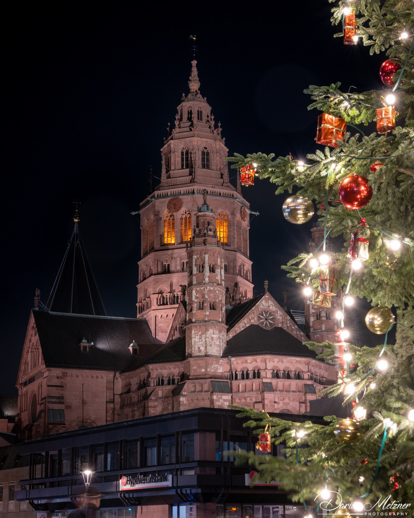 DSC_6815 2 | Fotografien, Fotos und Bilder aus Mainz, Frankfurt, Wiesbaden und anderen Orten auf der Welt - Fotografiert von Darius Metzner