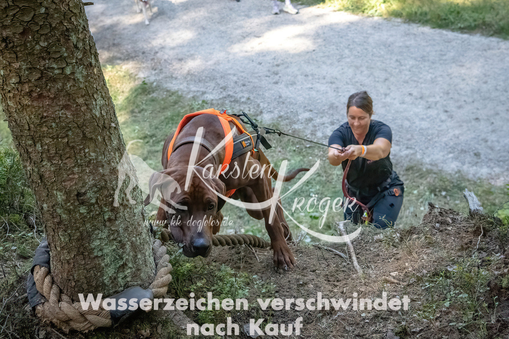 1156_ZZ92641 | kk-dogfotos