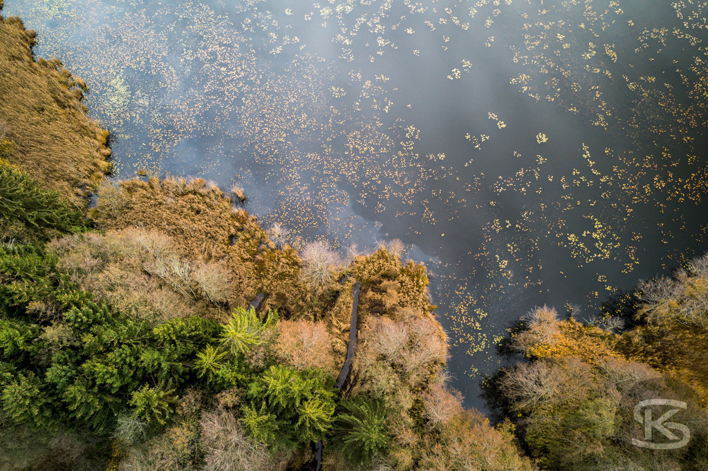 Allgäu-See-Landschaft aus der Luft mit dichtem Mischwald im Herbst | Atemberaubende Allgäu-See-Landschaft aus der Luft mit farbenprächtigem Mischwald im Herbst – idyllische Natur, klare Gewässer und leuchtende Herbstfarben, beeindruckende Drohnenaufnahme - Realisiert mit Pictrs.com