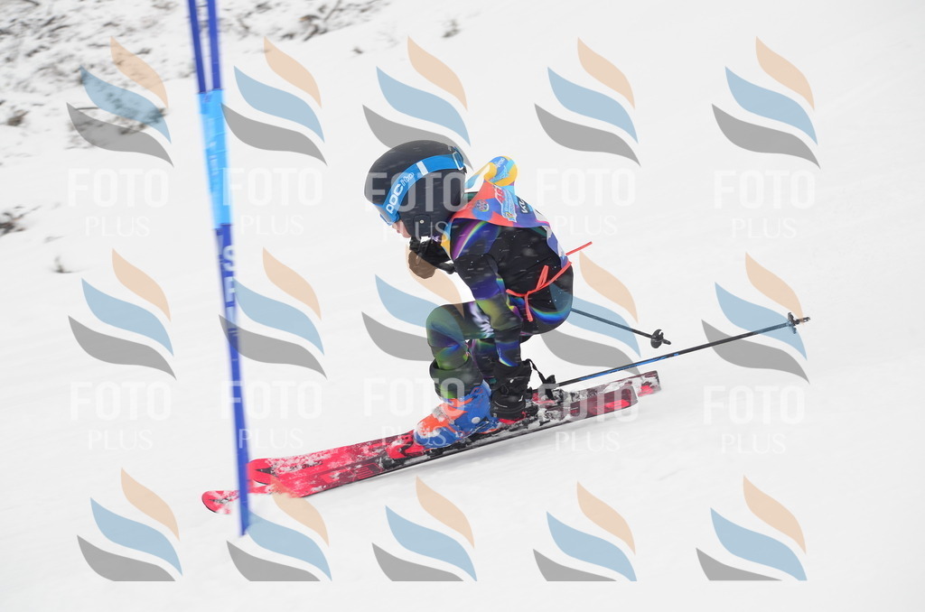 C0705 | holidayphoto