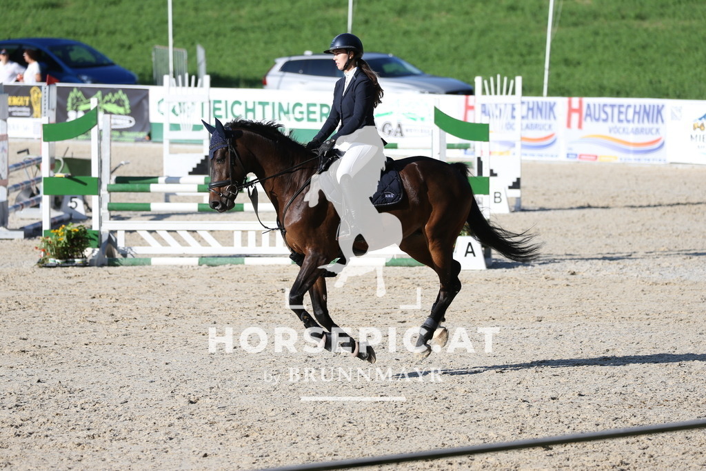 PP013146 | Willkommen bei Brunnmayr - Design & Fotografie – Ihrem Spezialisten für Reitturniere und Pferdeveranstaltungen in Oberösterreich, Salzburg und Bayern! Seit über 17 Jahren sind wir leidenschaftlich dabei.