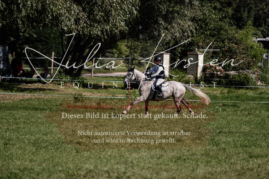 DSC_1387 | Pferde- und Turnierfotografie in Westsachsen. Pferdeportraits, Auftragszeichnungen und intuitive Kunst.