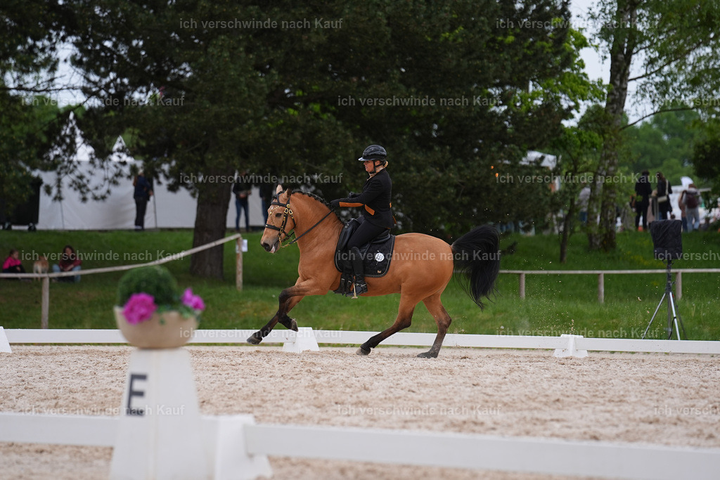 PI26_DR_253_StoibphotographySIN00254.jpg | working equitationturnier fotograf videograf stoibphotography marixx film working equitation deutschland reitsport turnierfotografie eventfotografie equestrian events