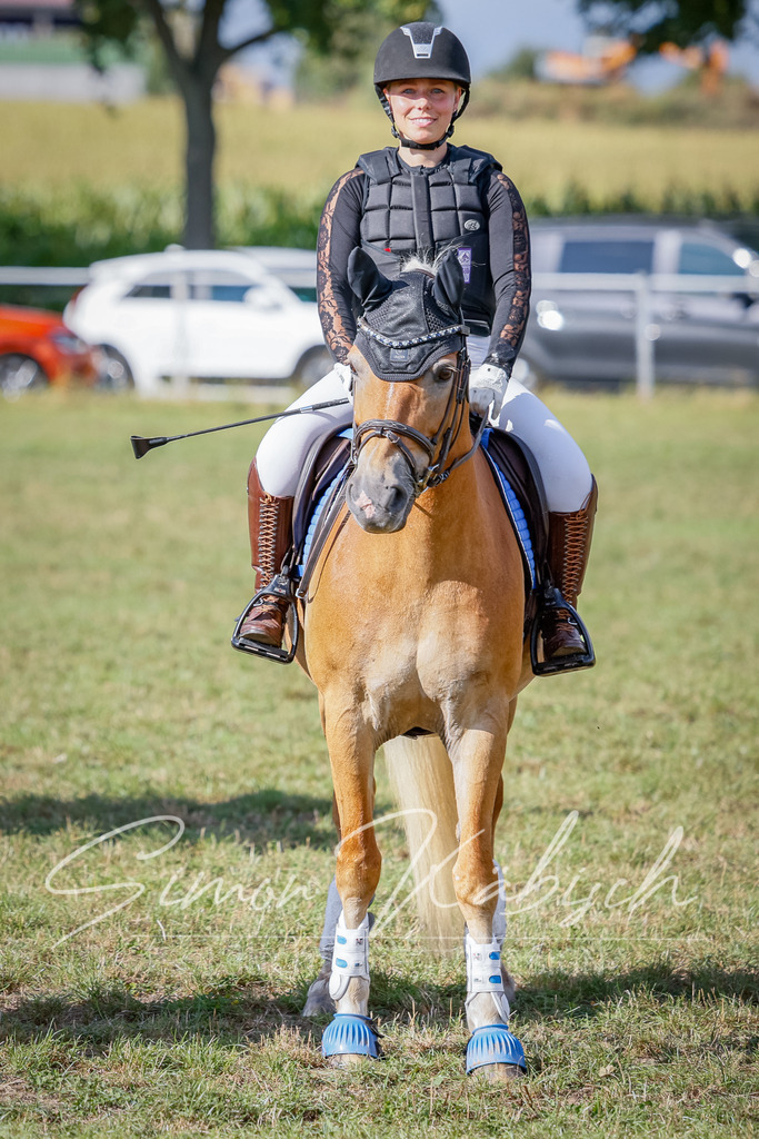 20250905-_3LI1247 | Tierfotografie Pferde, Hunde, Katzen, Haustiere.
Turnierfotografie Reitturniere, Reiten, Springreiten, Dressur in Hanau, dem Main-Kinzig-Kreis und dem Rhein-Main- Gebiet um Frankfurt