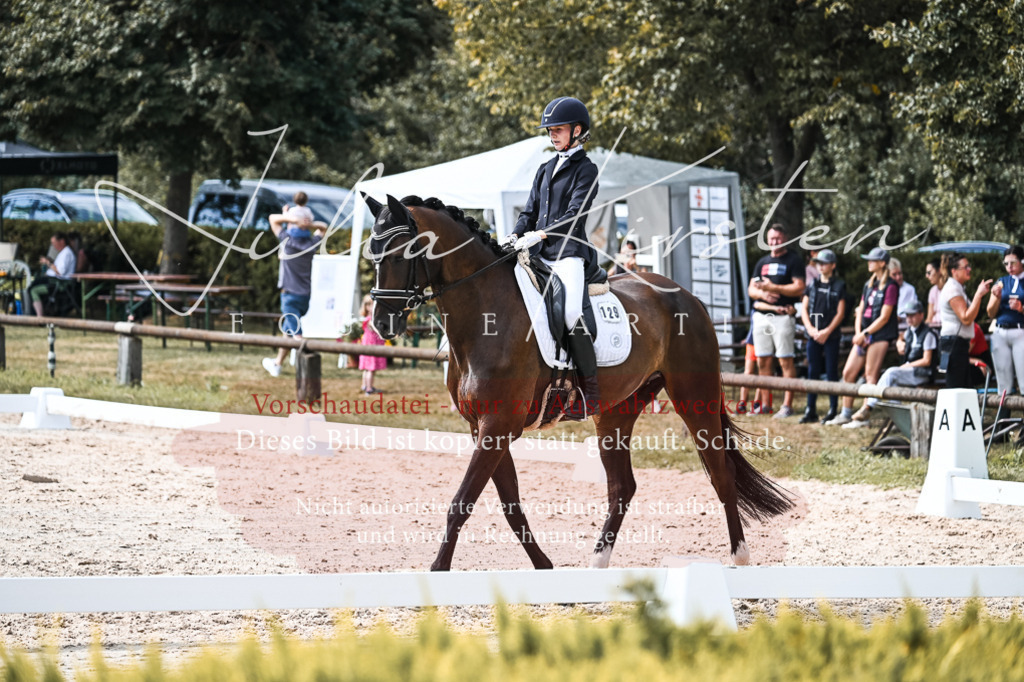 DSC_5205 | Pferde- und Turnierfotografie in Westsachsen. Pferdeportraits, Auftragszeichnungen und intuitive Kunst.