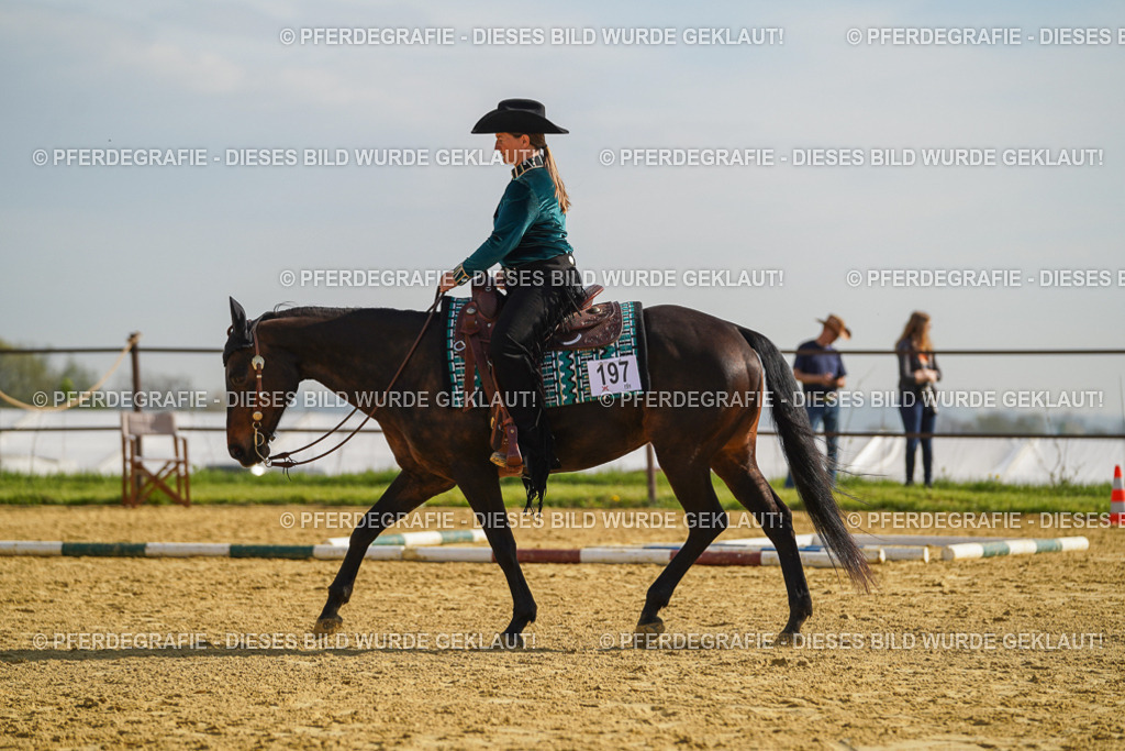 DSC01034 | Pferdegrafie