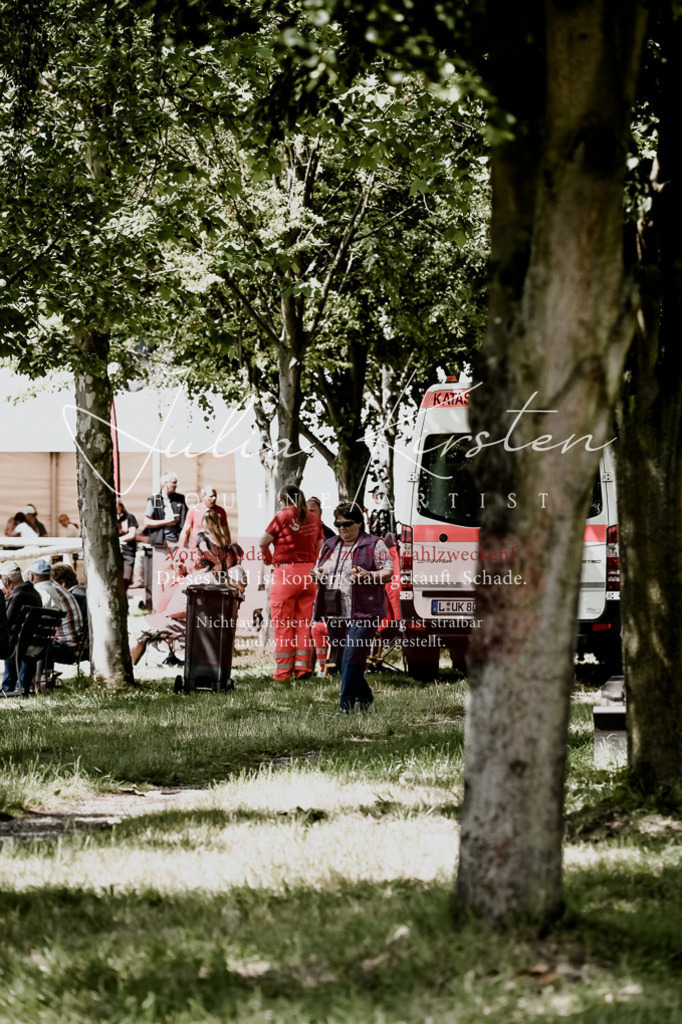 DSC_9550 | Pferde- und Turnierfotografie in Westsachsen. Pferdeportraits, Auftragszeichnungen und intuitive Kunst.