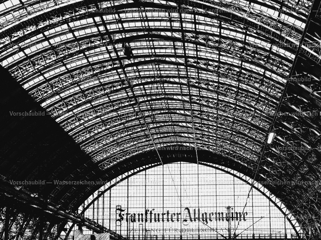 Hauptbahnhof-Frankfurt | online Fotogalerie mit schwarz-weiß Fotografien und Shop für zeitlose  Poster und Leinwände in stilvollem schwarz weiß  - Realisiert mit Pictrs.com