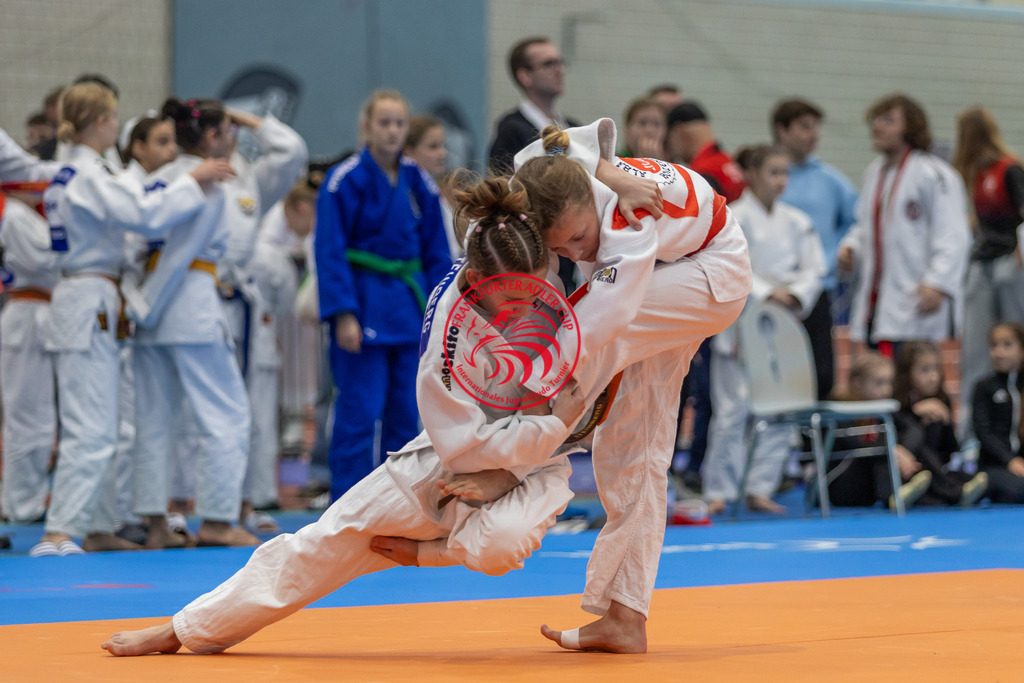 Internationaler Adler Cup 2024 | Foto vom Internationalen Adler Cup Judo Turnier im Sport- und Freizeitzentrum Kalbach im Oktober 2024 - Realisiert mit Pictrs.com