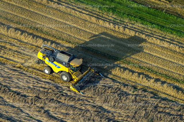 Werl230807357 | Luftbild, Feldarbeit mit Landmaschinen, Getreide mähen, Sönnern, Werl, Werl-Unnaer Börde, Nordrhein-Westfalen, Deutschland