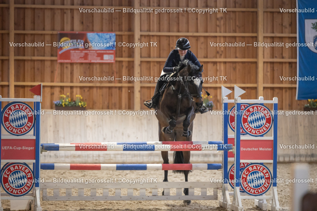 _D5A8701 | Emotionale Pferde- & People-Fotografie rund um Heidelberg, Leimen & Umgebung. Natürliche Fotos von Pferd, Mensch & Familie. Jetzt Termin sichern!