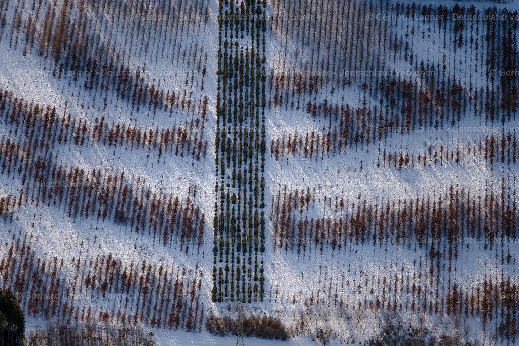 3900455 | Baumstrukturen bei Landsberg-Lech