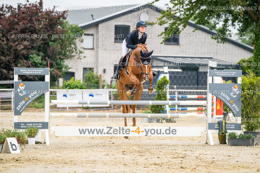 DSC09491 | Pferdegrafie