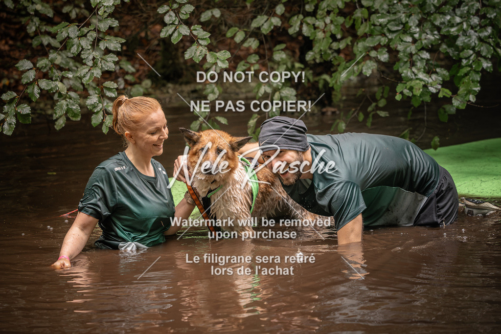 nelerasche_Wingst_Sa1330-1400_387 | nelerasche