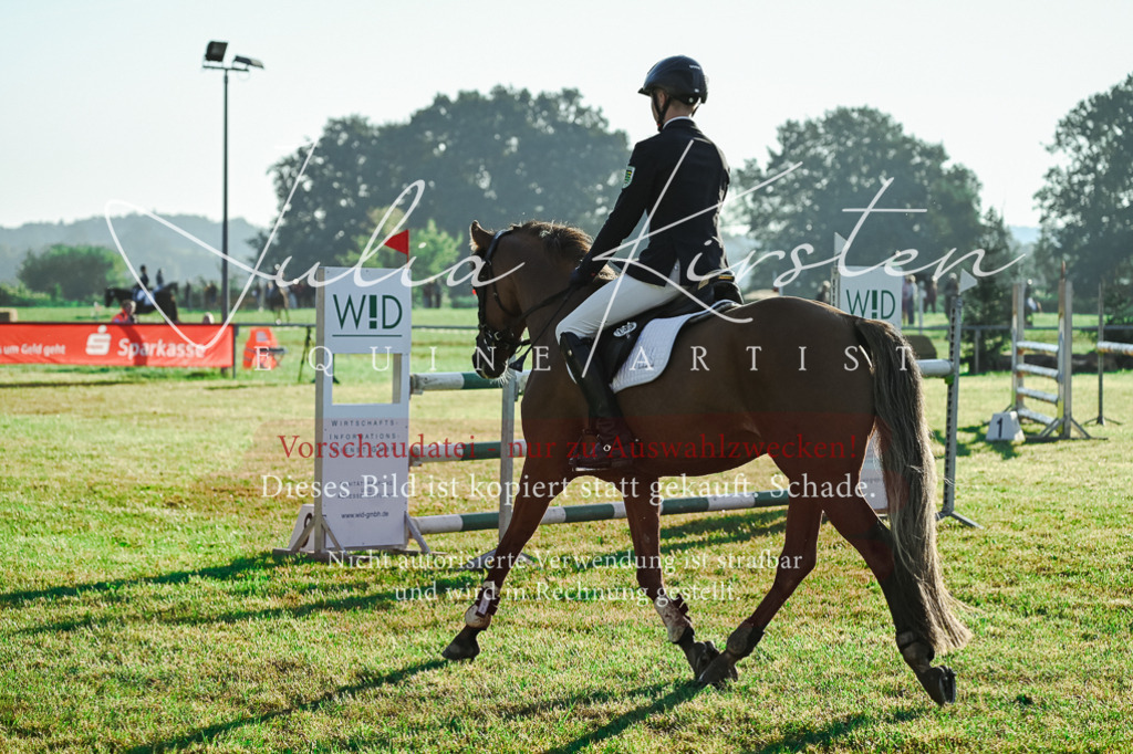 DSC_4099 | Pferde- und Turnierfotografie in Westsachsen. Pferdeportraits, Auftragszeichnungen und intuitive Kunst.