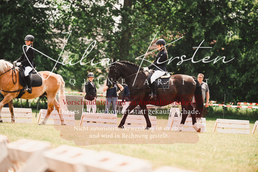 DSC_6225 | Pferde- und Turnierfotografie in Westsachsen. Pferdeportraits, Auftragszeichnungen und intuitive Kunst.