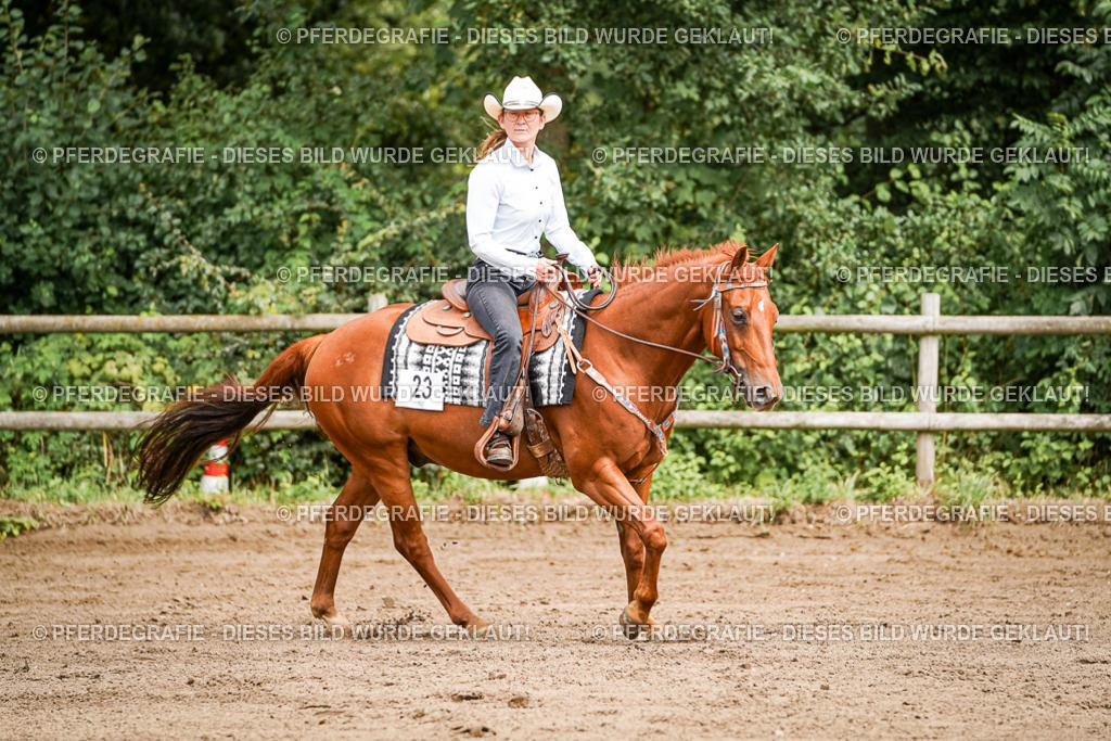 DSC06670 | Pferdegrafie