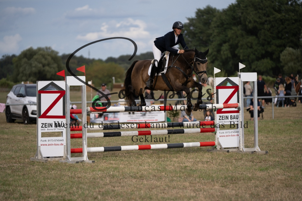 A7V09630 | Pferdefotograf