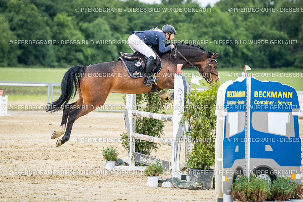 DSC04534 | Pferdegrafie