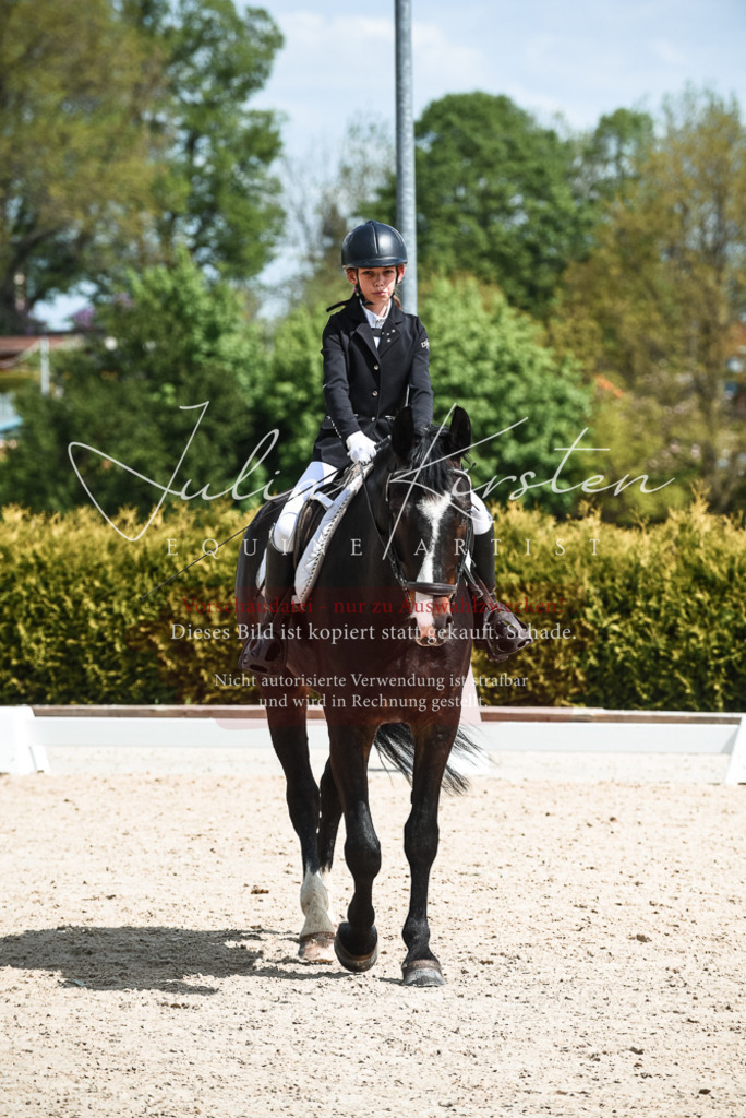 20230518_JK-Röhrsdorf-11-0709 | Pferde- und Turnierfotografie in Westsachsen. Pferdeportraits, Auftragszeichnungen und intuitive Kunst.
