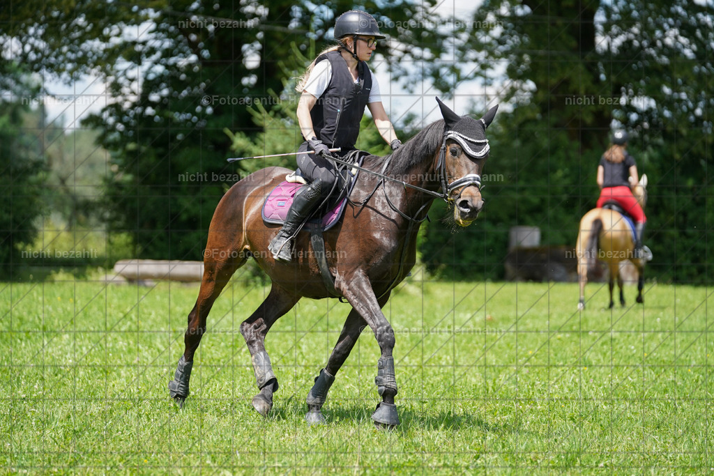 20240622-FAH07245 | Turnierfotografen Bayern, Reitsportbilder aus dem Geländekurs mit Felix Etzel auf dem Gut Waitzacker 2024
