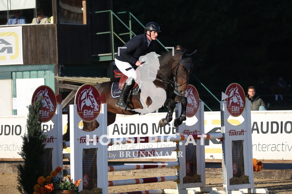 DL2Q0574 | Willkommen bei Brunnmayr - Design & Fotografie – Ihrem Spezialisten für Reitturniere und Pferdeveranstaltungen in Oberösterreich, Salzburg und Bayern! Seit über 17 Jahren sind wir leidenschaftlich dabei.