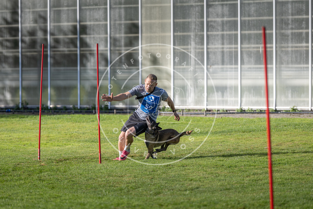 Pfotenfotografie.de_DV3A3431 | Hundefotografie, Tierfotograf, Pfotenfotografie, Fotoshooting Hund, Hunde Portrait, Hundesport, Hundeportraits, Heideshooting, Hunde, Sportfotograf, Hundefotograf, Turnierhundsport, THS, canicross - Realisiert mit Pictrs.com