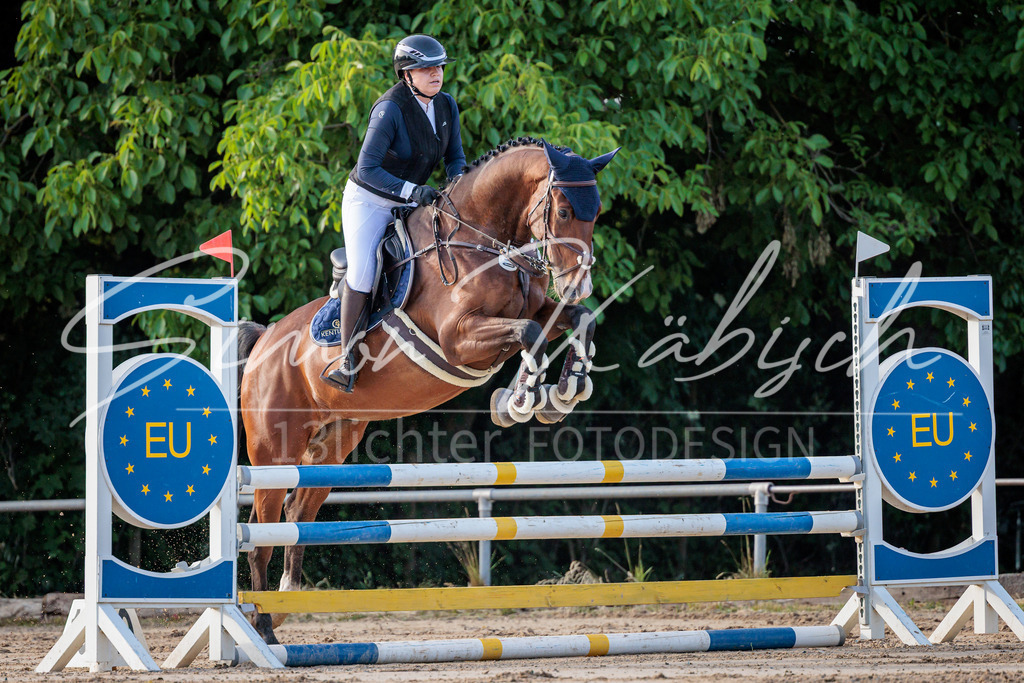 20260529-_3LI1052 | Tierfotografie Pferde, Hunde, Katzen, Haustiere.
Turnierfotografie Reitturniere, Reiten, Springreiten, Dressur in Hanau, dem Main-Kinzig-Kreis und dem Rhein-Main- Gebiet um Frankfurt