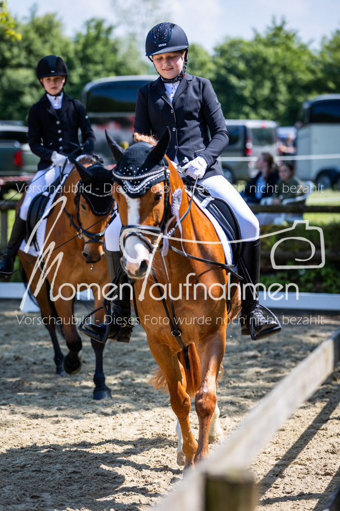 Donop24-RWB-031 | MomenTaufnahmen Pferdesportfotos